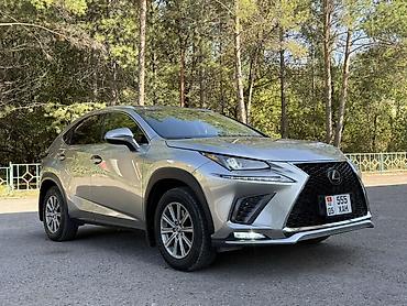 Продажа авто: Lexus NX: 2018 г., 2 л, Автомат, Бензин, Кроссовер — 3