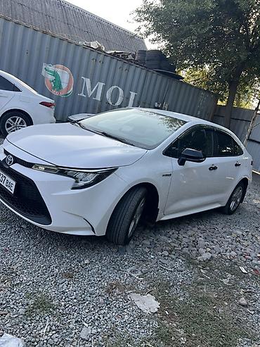 taiota levin: Toyota Levin: 2021 г., Гибрид, Седан — 2
