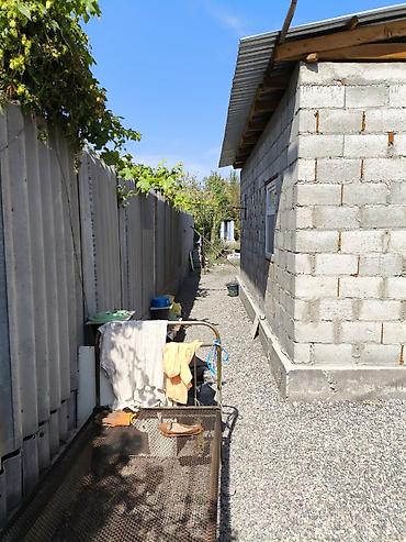 Продажа коттеджей и домов: 🏡 Продаю дом в Канте 📍 Участок — 7 соток 🏠 Площадь дома — 65 кв.м — 15