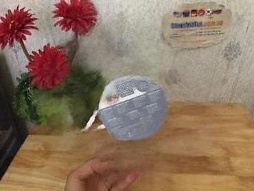 Ostali kućni dekor: ERNESTO korpa za voće, metalna - Materijal: metal (gvožđe), bez BPA - — 7