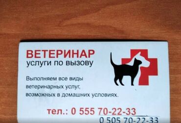 ветеринар аптека: Ветеринар на выезд - оказание профессиональных и качественных