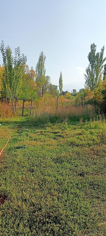 Продажа дач: Дом с участком - Одноэтажный дом с верандой и навесом на входе — 16