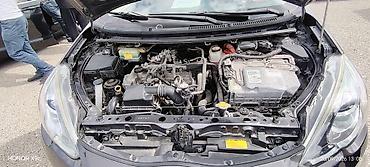 Toyota: Toyota Aqua: 1.5 l | 2015 il Hetçbek — 2