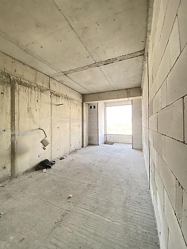 гоин квартиры: 1 комната, 57 м², Парк Т.Сатылганова, Элитка, 6 этаж, ПСО (под самоотделку) — 4