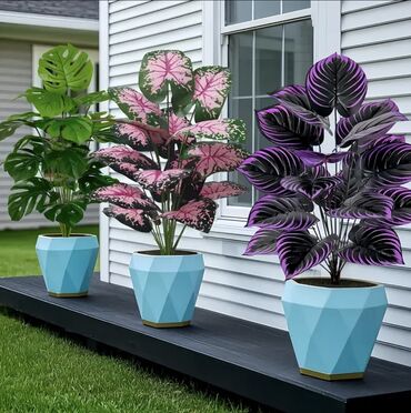 Süni güllər: 🌸 İstədiyiniz dibçəyi, istədiyiniz ölçüdə yığırıq! 🏡 Evlər, ofislər -da lalafo.az — 21 Süni güllər: 🌸 İstədiyiniz dibçəyi, istədiyiniz ölçüdə yığırıq! 🏡 Evlər, ofislər — 21