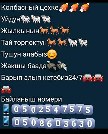 лак авто: Стекло задний левый.стеклоподьемгики.ручкана тайоту матрикс — 7
