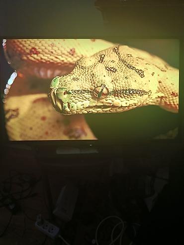sony: Телевизор Sony Bravia 40" - Диагональ: 40дюймов (≈102 см) - — 3