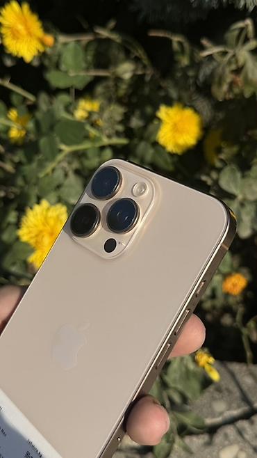 копия реплика: IPhone 16 Pro Max, Б/у, 256 ГБ, Золотой, Зарядное устройство, Защитное стекло, Чехол, В рассрочку, 88 % — 3