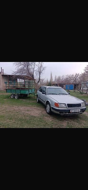 гольы 2: Audi 100: 1993 г., 2.3 л, Механика, Бензин, Универсал — 1
