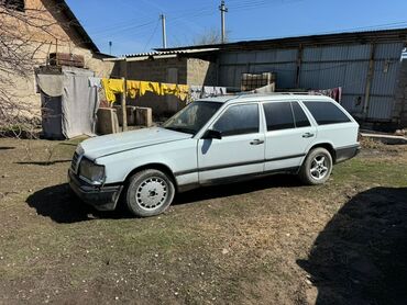 Mercedes-Benz 290: 1988 г., 2.9 л, Механика, Дизель, Универсал