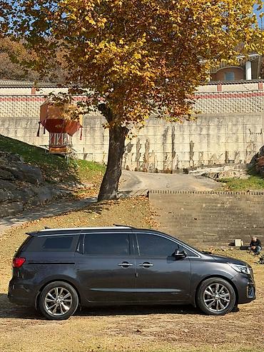 Kia: Kia Carnival: 2019 г., 2.2 л, Дизель, Минивэн — 12