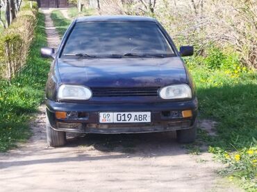 Volkswagen: Volkswagen Golf: 1994 г., 1.6 л, Механика, Бензин, Хэтчбэк — 2