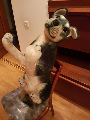 Oyuncaqlar: Oyuncaq it. Çin istehsalı. Uzunluğu 70 - 75 sm. Qiyməti 50 - manat -da lalafo.az — 12 Oyuncaqlar: Oyuncaq it. Çin istehsalı. Uzunluğu 70 - 75 sm. Qiyməti 50 - manat — 12