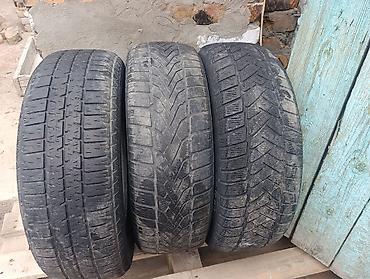 дики 15: Шины 195 / 65 / R 15, Всесезонная, Б/у, Легковые, Германия, DUNLOP — 1
