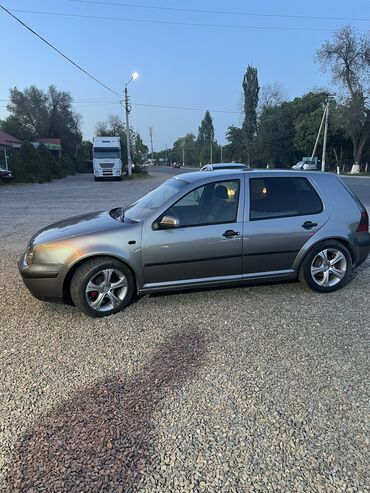 Volkswagen: Volkswagen Golf: 2002 г., 1.6 л, Автомат, Бензин, Хэтчбэк