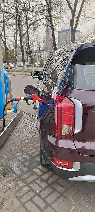 Hyundai: Hyundai Palisade: 2020 г., 3.8 л, Автомат, Бензин, Кроссовер — 38