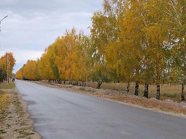 Продажа участков: 5 соток, Для строительства, Красная книга — 8