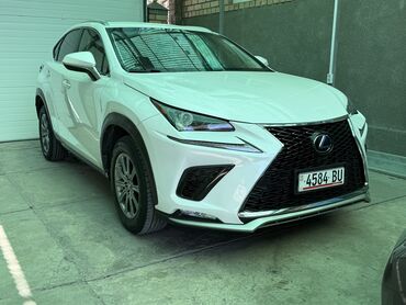 Lexus: Lexus NX: 2018 г., 2 л, Автомат, Бензин, Кроссовер