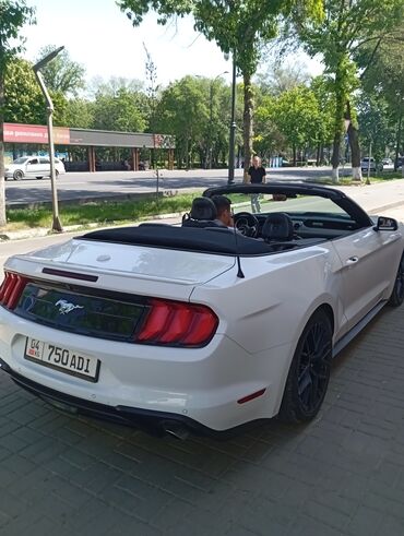 Частная аренда авто: Aвто на прокат Бишкеке цена зависит от маршрута и срока. Все машины — 11