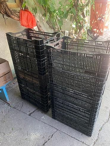лук ош: Куплю ящики 150 сом голландские из под луковицы! 500 — 1