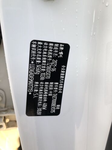 BYD: BYD : 2021 г., Электромобиль, Кроссовер — 16