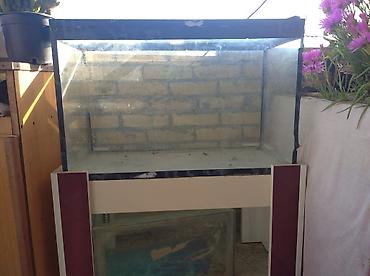 akvarium satilir: Dördbucaq akvarium, Boş, 90 l, Ünvandan götürmə — 5