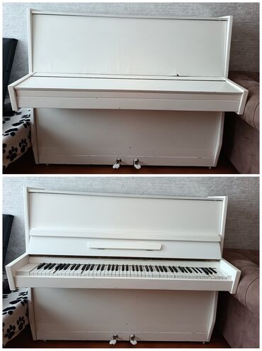 Akkordeonlar: Ağ rəngli akustik pianino – şaquli (upright) model. Xüsusiyyətlər: -