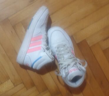 ivet rs obuca patike: Adidas, 36