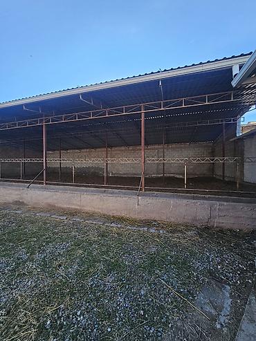 Продажа коттеджей и домов: Продается современный кошар с домом в селе Чокморов 💸=480.000$+торг — 10