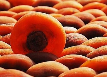 Meyvə qurudan aparatlar: Qurutma Aparatı Model DT600H Qızdırıcı aqreqat 6HP(380V) 3 faza -da lalafo.az — 13 Meyvə qurudan aparatlar: Qurutma Aparatı Model DT600H Qızdırıcı aqreqat 6HP(380V) 3 faza — 13