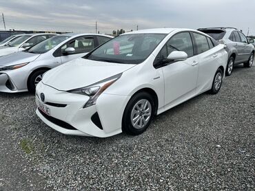 Toyota: Toyota Prius: 1.8 л, Вариатор, Гибрид, Седан
