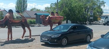 мотор б3: Срочно Черный седан Hyundai Sonata 2,4 бензин год 2019 10 месяц машина