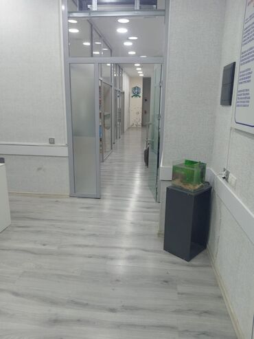 Digər kurslar: Hazır biznes satılır. Təcili. İşlək vəziyyətdədir. Tələbə və müəllim — 2