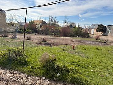 8 mkr: 7 sot, Tikinti, Mülkiyyətçi, Kupça (Çıxarış) — 3