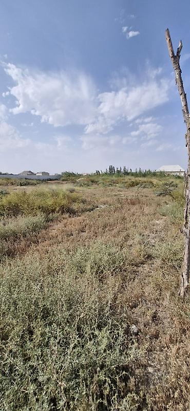 Torpaq sahələrinin satışı: Tikinti -da lalafo.az — 2 Torpaq sahələrinin satışı: Tikinti — 2