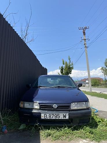 w211 e270: Nissan Primera: 1991 г., Седан — 1