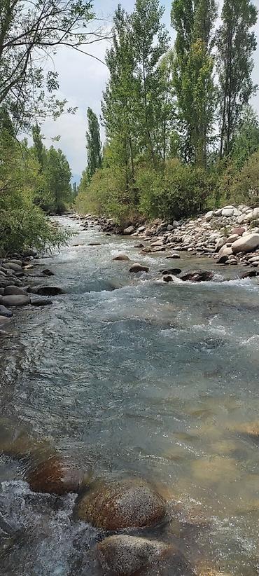 Продажа дач: Дом-дача с выходом к реке Ала-Арча — Таш-Добо (бывш. Воронцовка) 🌿 — 26