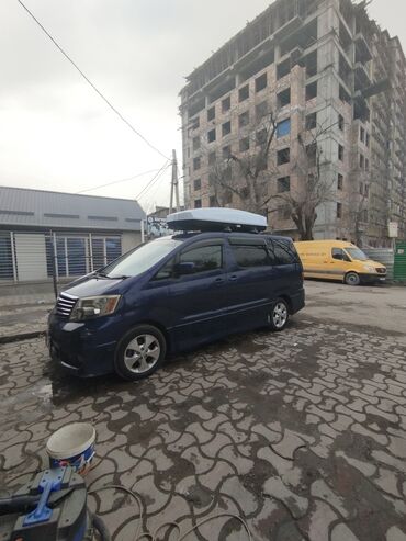 машины 2023: Toyota Alphard: 2004 г., 0.3 - engine capacity л, Автоматтык, Газ, Вэн/Минивэн