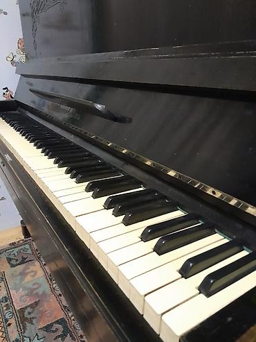 Musiqi alətləri: Pianino – “Кама-Дон” markalı, akustik upright model. Xüsusiyyətlər: - — 3