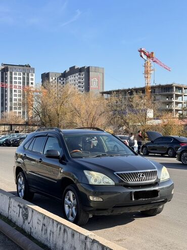 аксессуары для машины в салон: Lexus RX: 2004 г., 3 л, Автомат, Бензин, Кроссовер