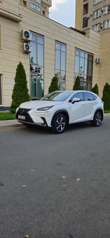 купить машину за 2000 долларов: 🔥Продаю lexus Nx 300 🔥 ✅Чистый Карфакс ‼️Вся Безопастность целая👆🏿