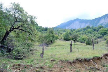 Torpaq sahələrinin satışı: 80 sot, Biznes üçün, Barter mümkündür, Kupça (Çıxarış) — 10