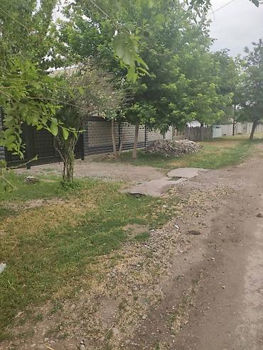 отель бишкек: Добротный дом + действующий агробизнес 📍 с. Октябрьское | угловой — 4