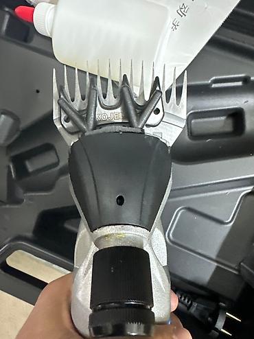 Товары и оборудование для с/х животных: Барана стрижки Большой выбор Бесплатная доставка по городу 🚚 — 24