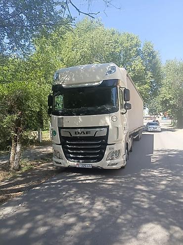 vip razbor: Тягач, DAF, 2019 г., Тентованный — 5