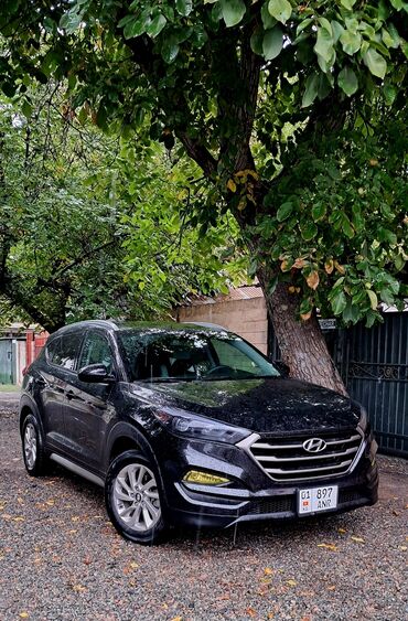 я ищу машину: Hyundai Tucson: 2017 г., 2 л, Автомат, Бензин, Кроссовер