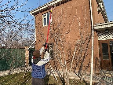 Спил деревьев, заготовка дров: Обрезка плодовых деревьев !!! Также обрезка хвойных и различных at lalafo.kg — 15 Спил деревьев, заготовка дров: Обрезка плодовых деревьев !!! Также обрезка хвойных и различных — 15