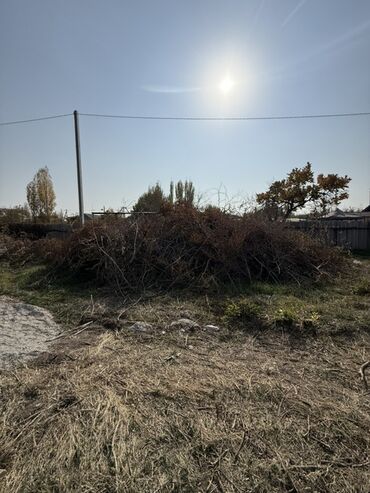 потерянные документы: Бесплатные сухие ветки
Село Новопокровка at lalafo.kg потерянные документы: Бесплатные сухие ветки
Село Новопокровка