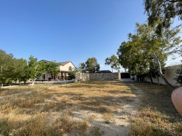 Kirayə torpaq sahələri: 8 sot, Kupça (Çıxarış)