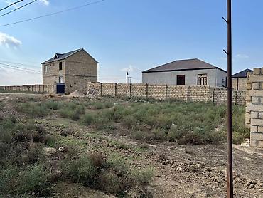 gencede: 3 sot, Kənd təsərrüfatı, Kupça (Çıxarış) — 6